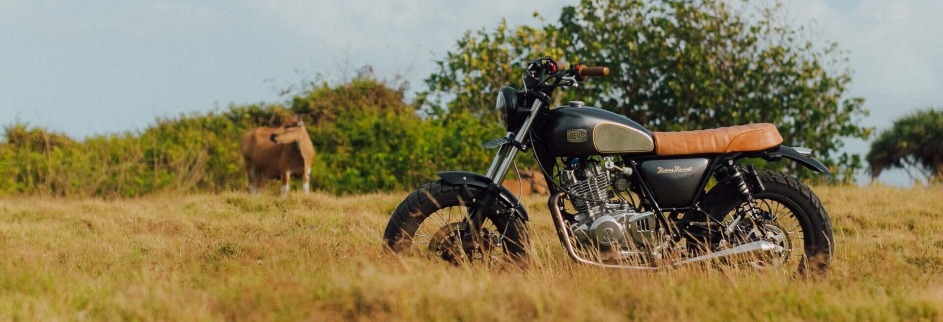 Suzuki Thunder 250 получает индивидуальную доработку в Deus Bali, La Tigre